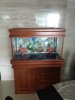 Aquarium 100x45x45.jpg